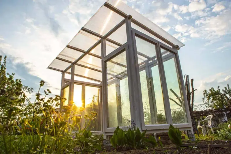 Ein selbstgebautes Tomatenhaus aus Holz und Glas, das im Abendlicht erstrahlt. Perfekt für den Anbau von Tomaten.